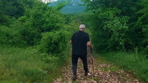 Old man walks through forest trail with cane. Kozji Kamen area, Serbia 스톡 동영상 341876405