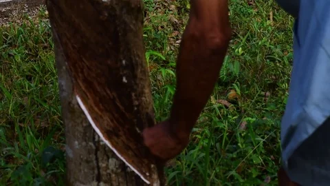 The old man was walking cut latex. Stockbeeldmateriaal 84249536