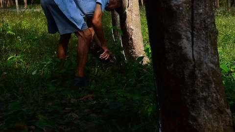 The old man was walking cut latex. Stock Footage 84249704