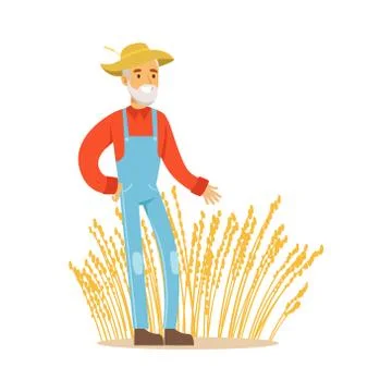 Old Man With Wheat Ear Crops, Farmer Working At The Farm And Selling On Natural Stock Illustration