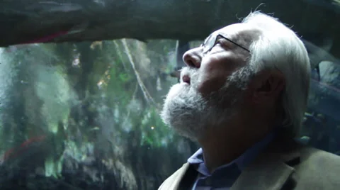 Old man with white beard points up at something Stock Footage 36157455