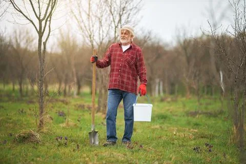 Old man working in orchard in spring. Stock Photos