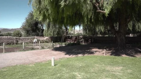 Old man working in a vegetable garden in a rural area - High quality FullHD Video stock 155639400