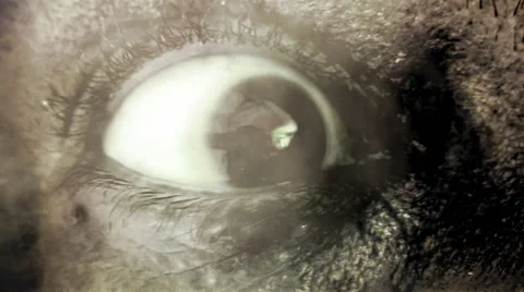 Old man zombie in hell smoke Stock Footage 44187928