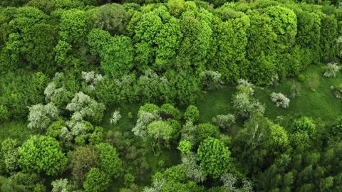 Old manor garden Stockbeeldmateriaal 154675563