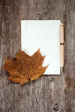 Old maple leaf and blank paper Stock Photos