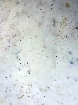 Old marble stone background Stock Photos