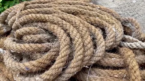 Old marine fish rope net with floats sways in the wind Stock Footage 239157253