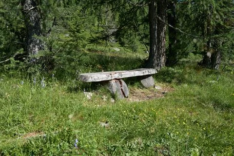 Old massive bench on the edge of the forest II Stock Photos