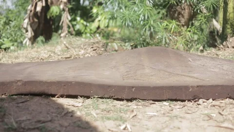 OLD MATRESS Stock Footage 233966516