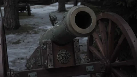 An old medieval cannon in the winter forest Vídeo Stock 221325299