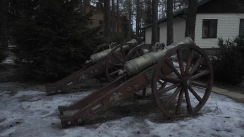 An old medieval cannon in the winter forest Video stock 221325326