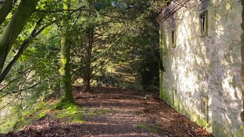 Old medieval house Vídeo Stock 253311070