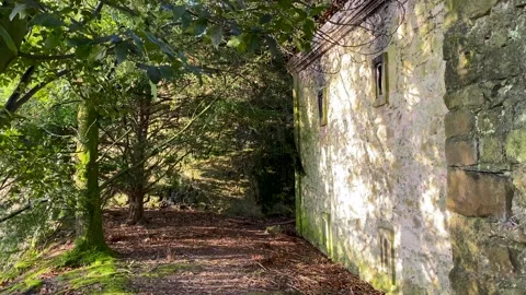 Old medieval house Stock-Footage 253311294