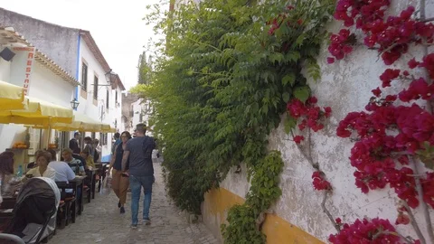 Old Medieval Town Inside Castle Obidos Stock Footage 108724996