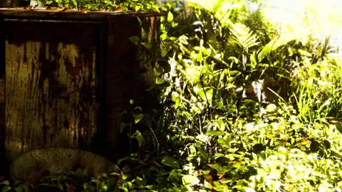 Old metal box surrounded by green plants in a bright outdoor area Stock Footage 345004782