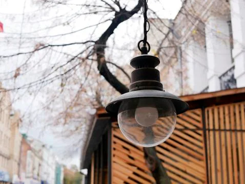 Old metal lantern on a background of a tree Stock Photos
