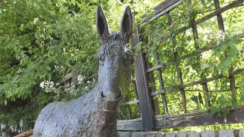 An old metal statue of a donkey. Stock Footage 129249006