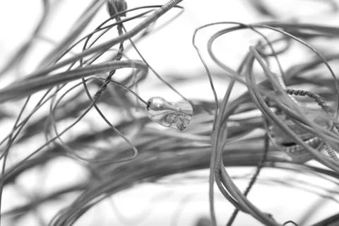 Old metal strings on a white background Foto stock
