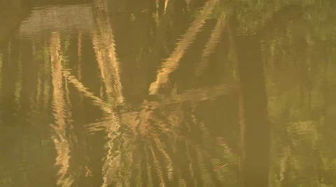 Old Mill at Berry College Reflection Stock Footage 52403680