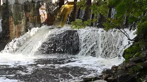 An old mill dam on a summer river with falling and foaming water Stock Footage 234608176