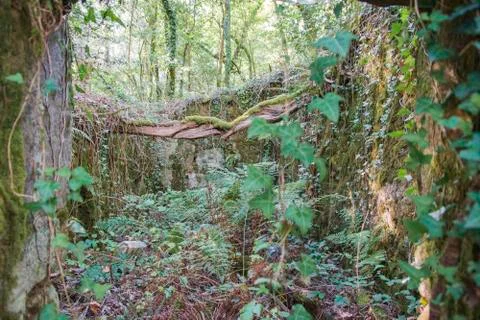An old mill in ruins Stock Photos