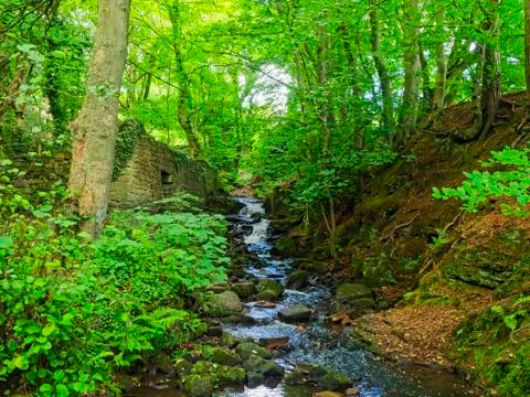 By the old mill stream in the Derbyshire Peak District Foto stock