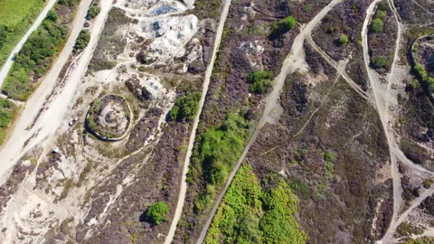 The old mining works around the Bissoe cycling trail from devpran to perranporth Video stock 262791285