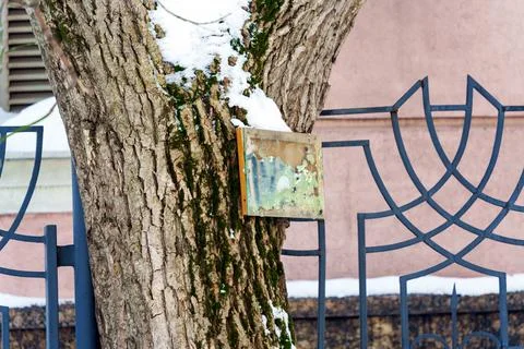 An old mirror with peeling amalgam hangs on a tree in the park Stock Photos