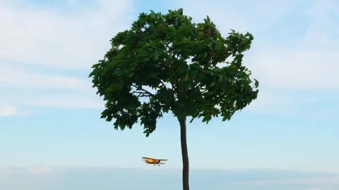 Old model aircraft while low-level flight. Stock Footage 241720066