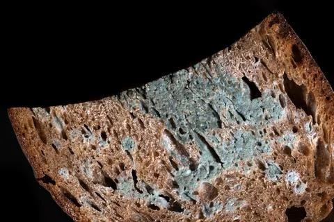 The old mold on the rye bread side view. Spoiled food Stock Photos