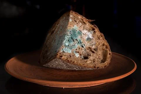 The old mold on the rye bread. Spoiled food on ceramic plate Stock Photos
