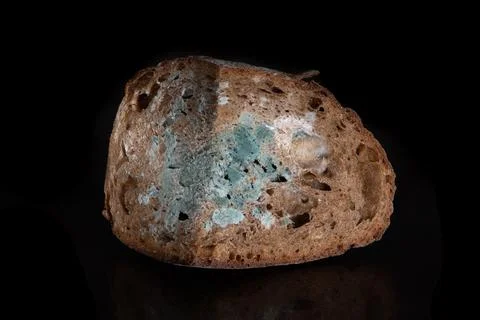 The old mold on the rye bread. Spoiled food Stock Photos