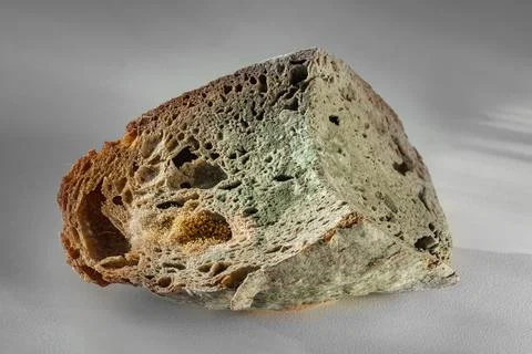 The old mold on the rye bread. Spoiled food 스톡 사진