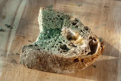 The old mold on the rye bread. Spoiled food on wooden board Stock Photos