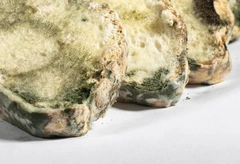 The old mold on the rye bread. Spoiled food Stock Photos