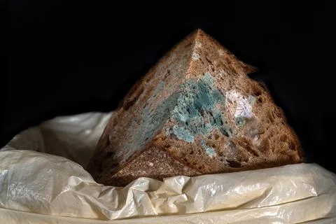 The old mold on the rye bread in trash can. Spoiled food thrown into the buck Stock Photos