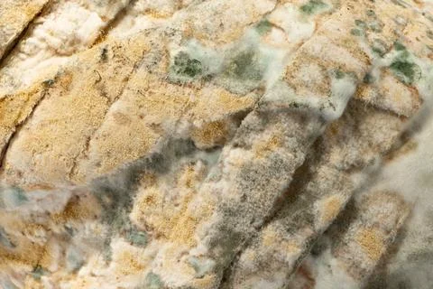 The old mold on the sliced rye bread. Spoiled food Stock Photos
