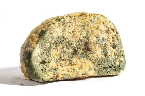 The old mold on the wheat loaf of bread crust. Spoiled food Stock Photos