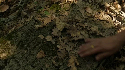 Old monument. Stock Footage 67226450