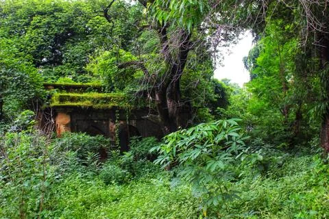 Old monument in the forest. Stock Photos