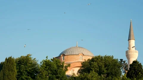 Old mosque and seagulls Stock Footage 201017301