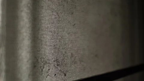 Old mosquito wire screen in abandoned house Stock Footage 94423843