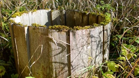 Old moss-covered barrel Stock Footage 116809295