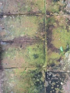 Old Mossy Brick Texture Background Stock Photos