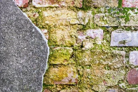 Old mossy brick wall Stock Photos