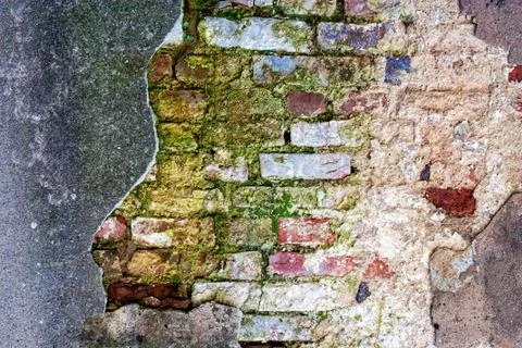 Old mossy brick wall Stock Photos