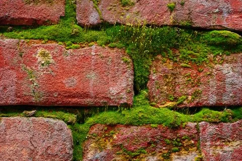 Old mossy brick wall texture close-up Stock Photos