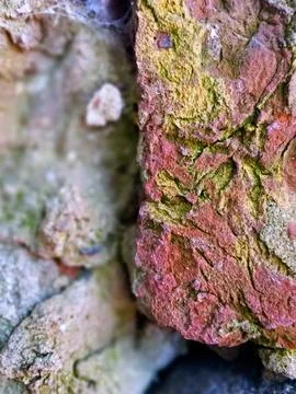 Old Mossy Brick Wall Texture Close Up Foto stock