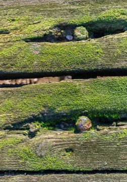 Old mossy planks from close Stock Photos